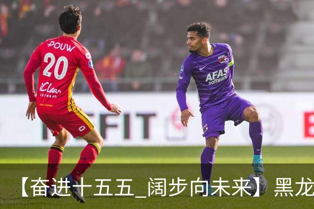 【奋进十五五 阔步向未来】黑龙江农机产业正加速迈向高端化智能化绿色化